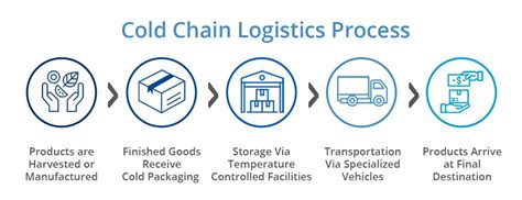 Automation in logistics: check out the benefits for the cold chain